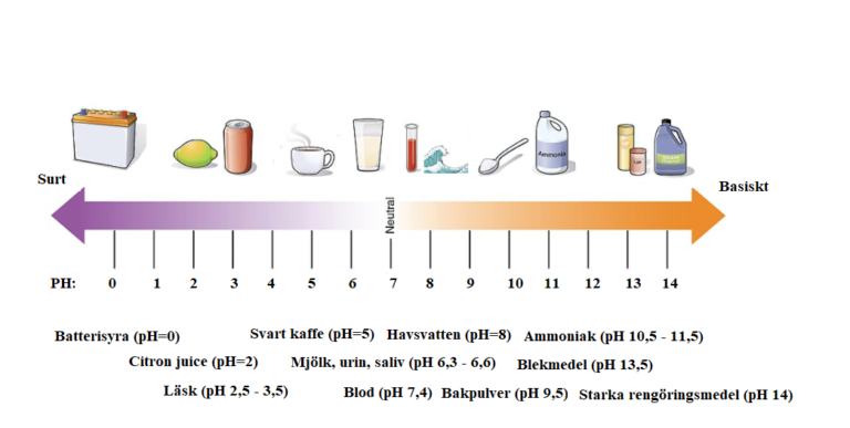 Översikt PH – Ugglans Kemi
